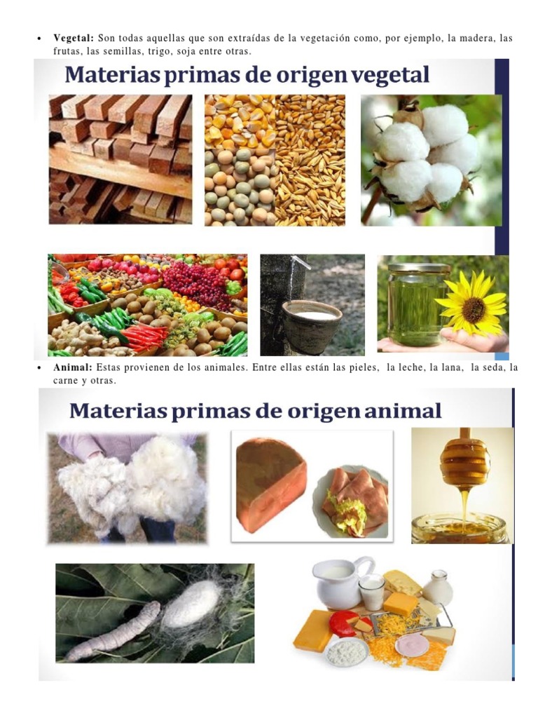 Tipos de Materias Primas y Ejemplos | PDF | Importaciones | Exportaciones