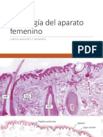 Histología Del Aparato Femenino 1