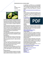 Exportacion de Palta A Estados Unidos