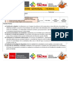 2019 Informe Semanal de Docentes Sec 30 Hras Modesto Molina