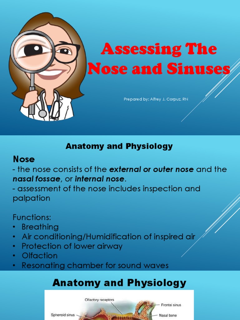 Nose and Sinus Assessment Guide | PDF | Human Nose | Sensory Organs