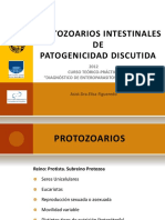 protdis.pdf