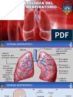 Ap. Respiratorio