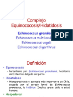 Equinococosis Hidatidosis