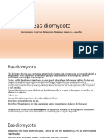 Basidiomycota PDF