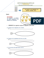 310805994-fichas-de-trabajo-para-primaria-aritmetica.docx