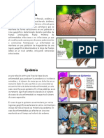 Endemia + Epidemia + Pandemia Concepto e Imagenes