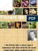 1511913962_Florais de Bach.ppt (1).pdf