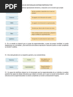 Geller 2006.en - Es | PDF | Estudios de género | Género