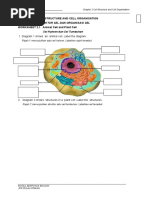 WORKSHEET 2.1 Animal and Plant Cell - Latest