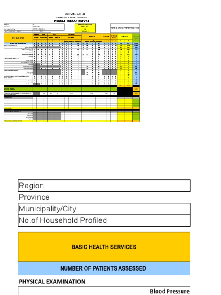 Weekly Health Report: Zamboanga del Norte | PDF | Physical Examination ...