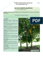 a-heterophyllus-jackfruit1.pdf