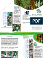 Bifoliar Bambú Carta