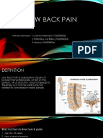 Low Back Pain: Nama Kelompok: 1.ludivika Helembo (1562030032) 2.pankrasius A.B Baklu (1562030034) 3.jessica (1562030036)