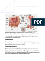 Macam-Macam Penyakit Pada Sistem Reproduksi Perempuan