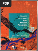 IMAGENS DE SATELITE PARA ESTUDOS AMBIENTAIS.pdf