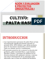 Formulación y Evaluación de Proyectos Agroindustriales I EXPOSICION