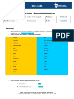 MII U1 Actividad 1 Reconociendo Tu Entorno