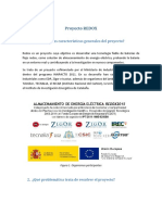 proyecto_redox.pdf