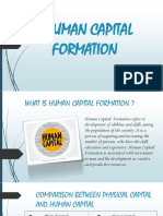 Human Capital Formation