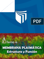 Membrana Plasmatica