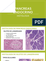 Pancreas e Higado Endocrino
