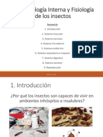 C4. Morfología Interna y Fisiología de Insectos