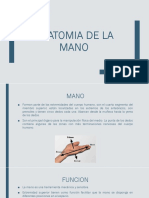Anatomia de La Mano