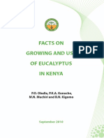 Facts On Eucalyptus in Kenya