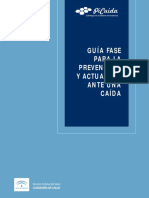 Guia-FASE-Caidas.pdf