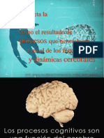 1. Enfoque Neurocientífico