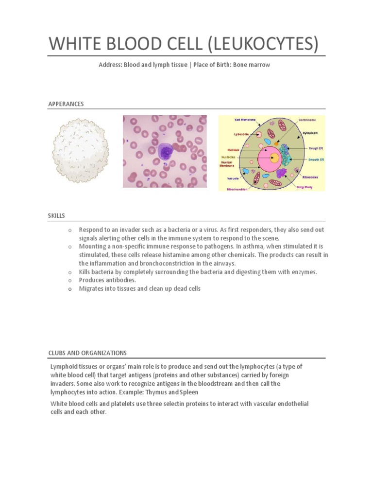 White Blood Cell Functions and Roles | PDF | Philosophy | Science ...
