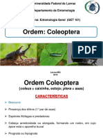 Aula Ordem Coleoptera 2016