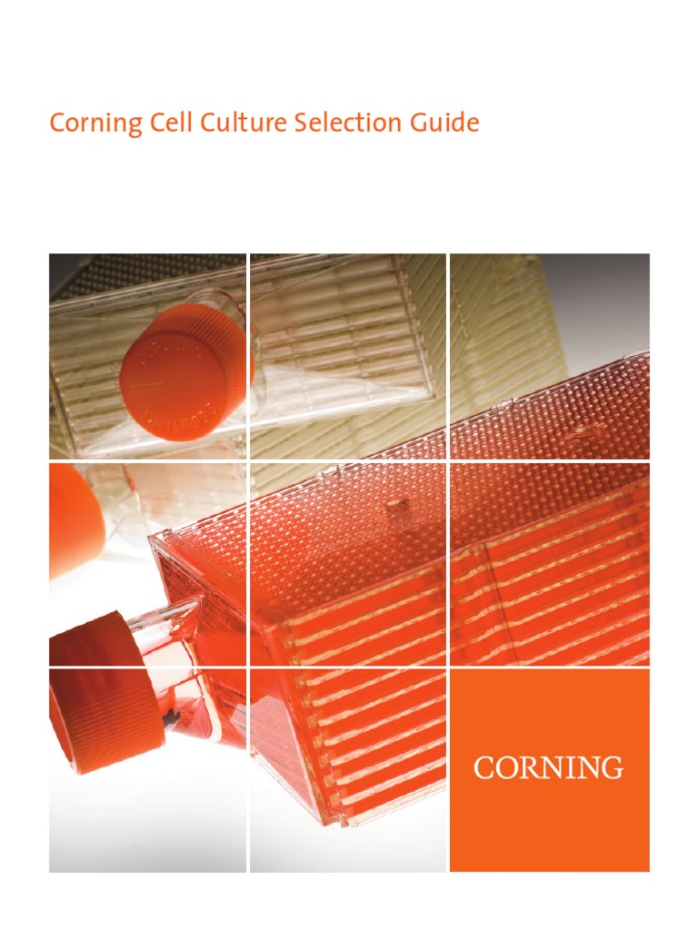Corning Cell Culture Selection Guide PDF Cell Culture Staining