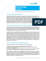 que_es_el_sistema_penal_juvenil.pdf