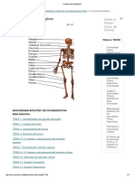 Fundamentos Biológicos