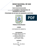 CONTAMINACIÓN-DEL-SUELO-2.docx