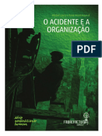 o_acidente_e_a_organizacaomiolo_e_capa2.pdf