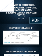 Vitamin D Sintesis Metabolisme Fungsi