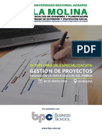 Brochure IV DDE Gestión de Proyectos 2019