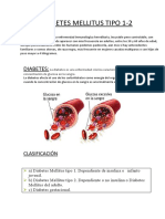 Diabetes Mellitus Tipo 1