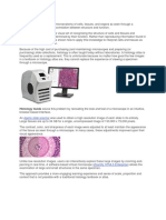 Histology is the study of the microanatomy of cells.docx