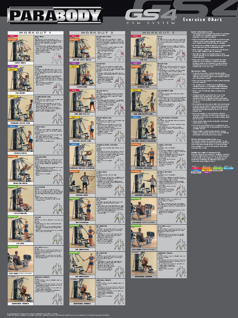 GS4 Wall Chart PDF Elbow Arm