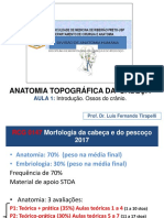 Anatomia da cabeça ossos crânio