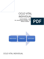 Ciclo Vital Individual