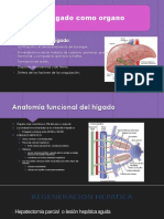 Capitulo 71 Fisiología de Guyton