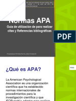 apa_s1a1