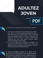 Adultez Joven, Ciclos Del Desarrollo Humano
