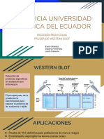 Biología Molecular Expo