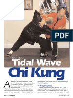 Nei Kung PDF